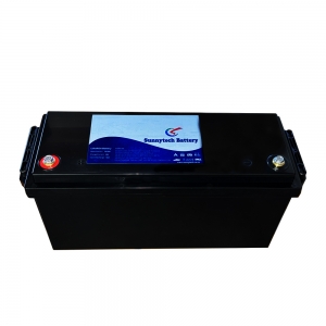 36V 50AH Lithium Iron Phosphate (LifePO4) Battery + BMS&BLUETOOTH